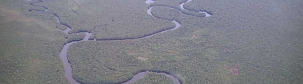 Lago de los Yanomamis