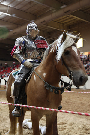 Un caballero en 'Knights of Mayhem'