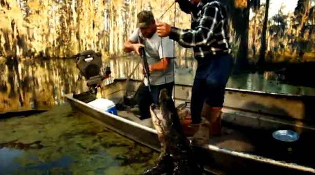 Un hombre junto a un cocodrilo en una imagen de la promo de Xplora.