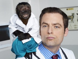 El mono Crystal de 'Animal Practice'