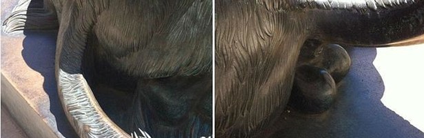 El canal Historia se ha hecho eco de lo evidente, uno de los leones carece de testículos