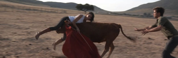 Una vaquilla se lleva por delante a la reportera