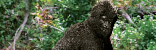 bigfoot