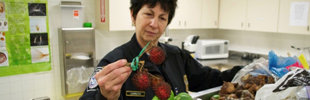 'JFK: control de aduanas'