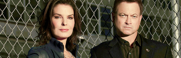 Gary Sinise y Sela Ward en 'CSI: NY'