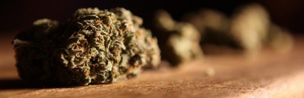 &#39;El negocio de la droga&#39;