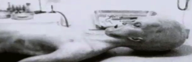 La serie se pregunta si existe vida extraterrestre