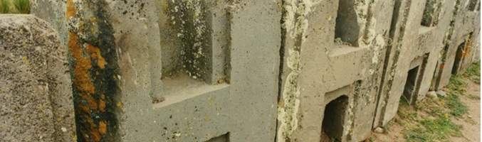 'Generación alien' se estrena en Xplora este lunes