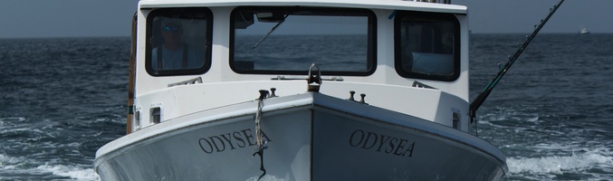 Diferentes barcos compiten en alta mar por la captura del atún rojo