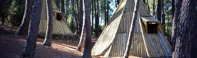 Las cabañas de 'El Campamento de Verano'