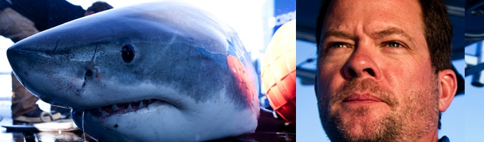 &#39;Entre tiburones&#39;, con Chris Fischer