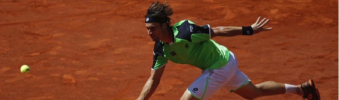 David Ferrer