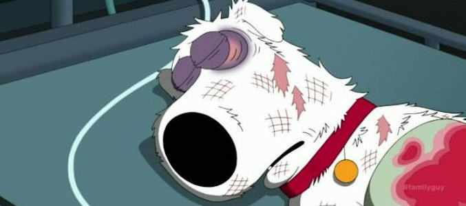 Brian tras ser atropellado por un coche en el último capítulo de 'Padre de familia'