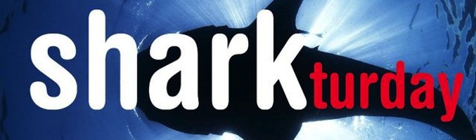 "Sharkturday"