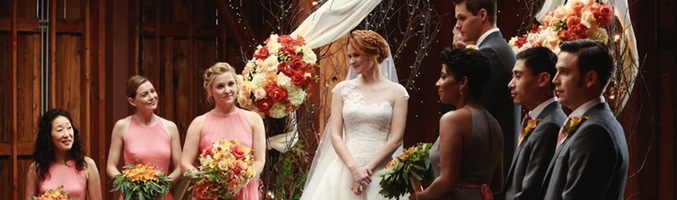 &#39;Anatomía de Grey&#39;