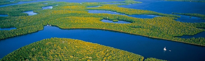 El Dia Mundial del Medio Ambiente pretende concienciar a la población