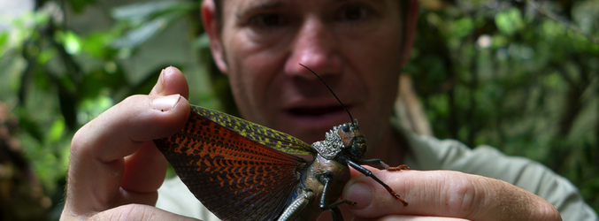 Imagen de 'Naturaleza letal'