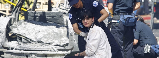 &#39;Navy: Investigación criminal