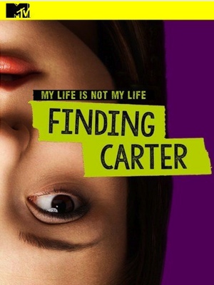 Cartel de 'Finding Carter'