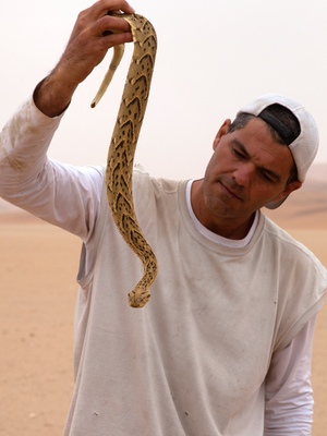 Frank Cuesta en &#39;Wild Frank&#39;