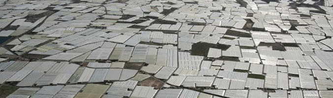 "Mar de plástico", vista aérea del Poniente Almeriense (Almería)