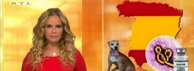 Captura del informativo alemán