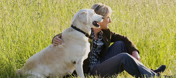 Owen Wilson junto a Marley en la película "Una pareja de tres"