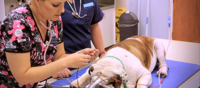 Los productores del serial serán también los encargados de escribir el guión del episodio piloto