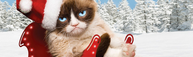 Con temática navideña, Lifetime ha producido esta TV movie de la famosa gata cabreada de Internet.