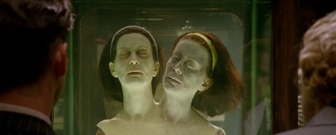 Las cabezas de Bette y Dot, expuestas en un tanque en el museo