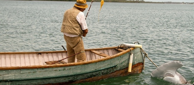 Un pescador sorprendido por un escualo