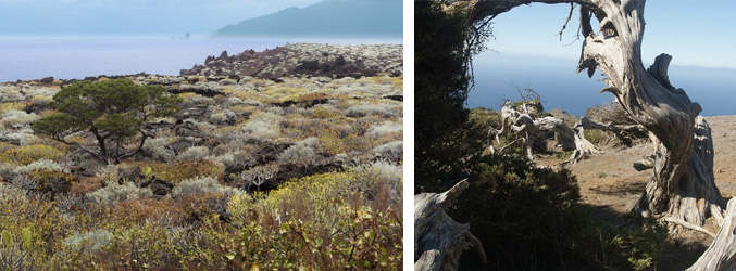 Imágenes de El Hierro