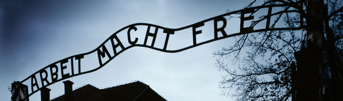 Discovery Channel dedica su programación al conflicto que cambió las reglas del juego bélico