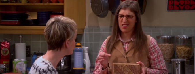 The Big Bang Theory 8x15