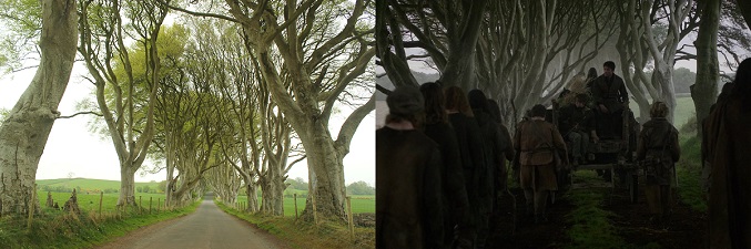 The Dark Hedges, un camino con hayas, se ha usado como el Camino Real (Imagen: Laura Castaño)