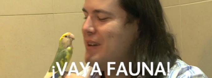 Imagen del vídeo promocional de '¡Vaya fauna!'