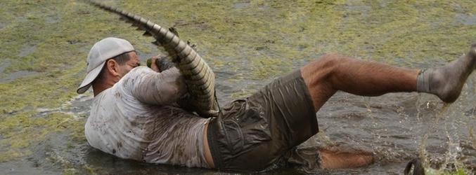 Frank peleando con un caimán