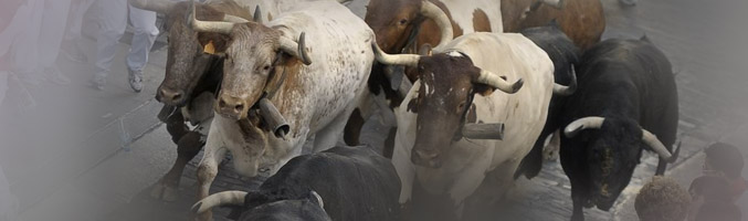 Reality de San Fermín