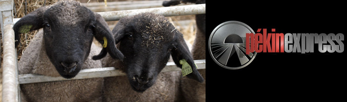 Las &quot;Ovejas Negras&quot; llegan a &#39;Pekín express: la ruta de los mil templos&#39;