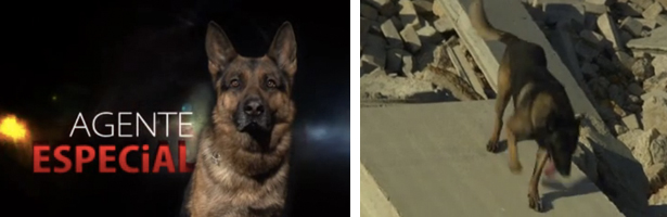 Imágenes de &#39;Agente especial&#39;, la serie documental emitida en 2012 por Telemadrid