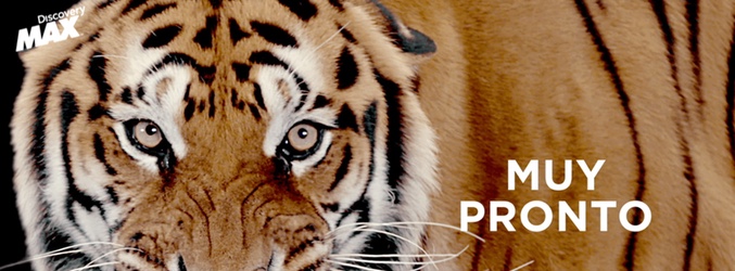 Imagen promocional de la tercera temporada de 'Wild Frank'