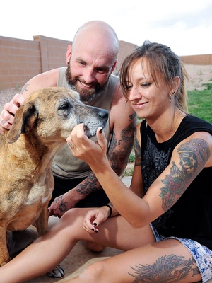 'Compañeros de batalla'