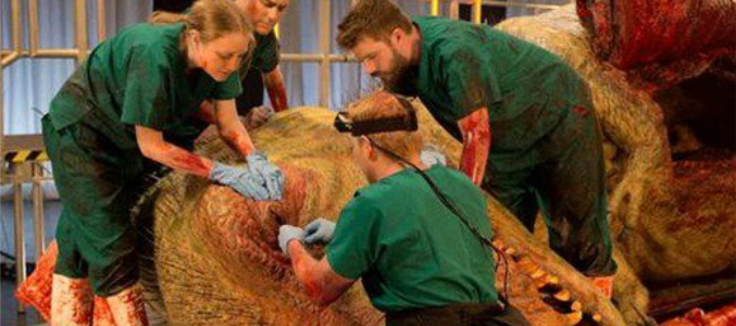 Autopsia a  una réplica de Tyrannosaurus Rex a tamaño real