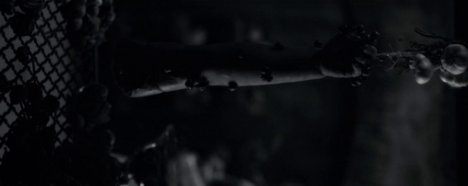 Brazo de Abel Gideon, devorado por caracoles