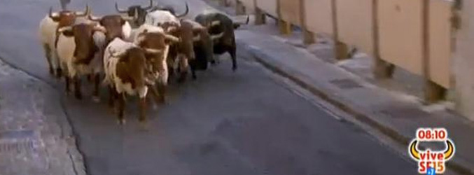 Imagen del encierro de San Fermín