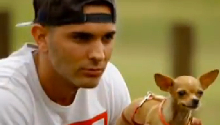 Descripción de la imagen