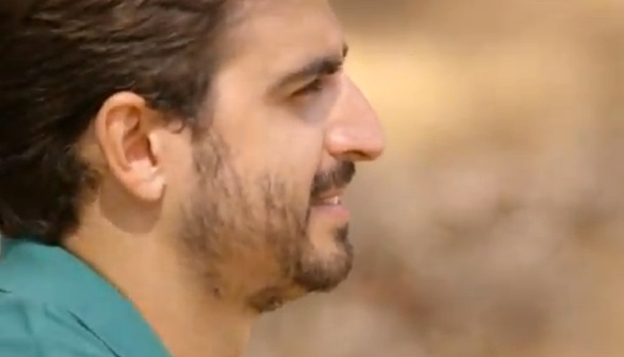 Descripción de la imagen