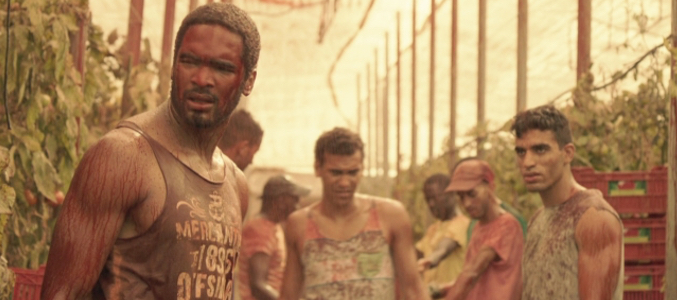 &#39;Mar de plástico&#39;