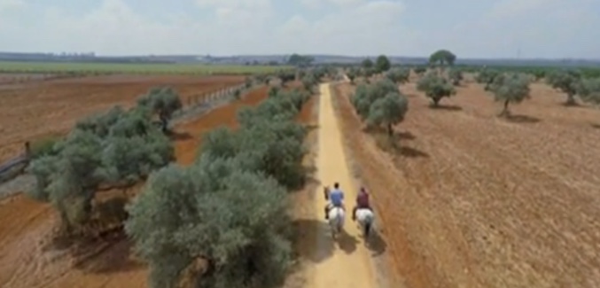 'En la tuya o en la mía', con Jesulín de Ubrique