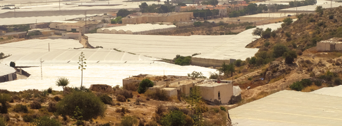 Acción por Almería ya mostró su descontento con alguna declaración